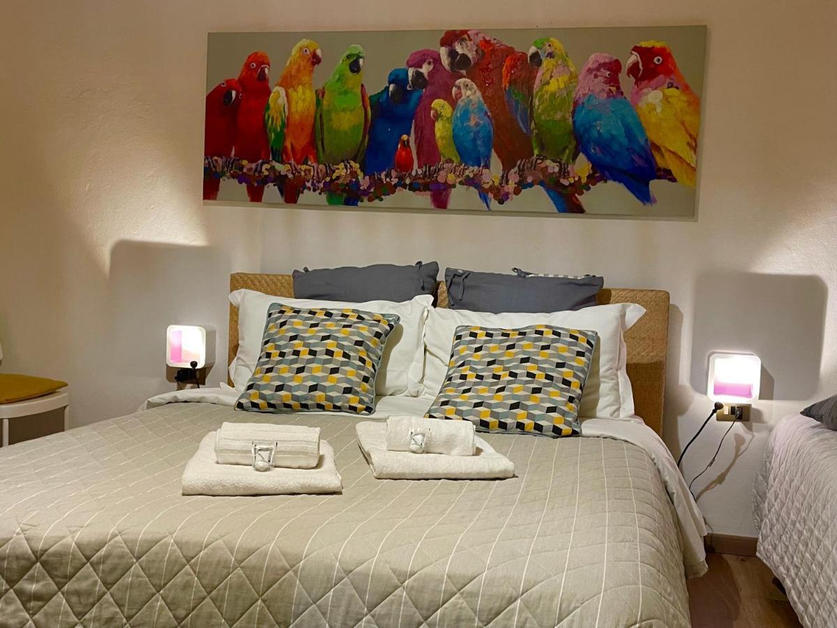 B&B Maggiore 58 ボローニャ エクステリア 写真