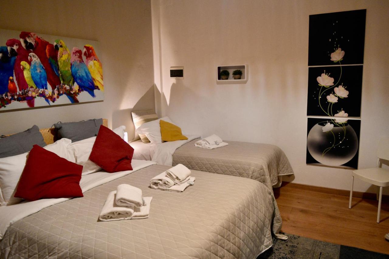 B&B Maggiore 58 ボローニャ エクステリア 写真